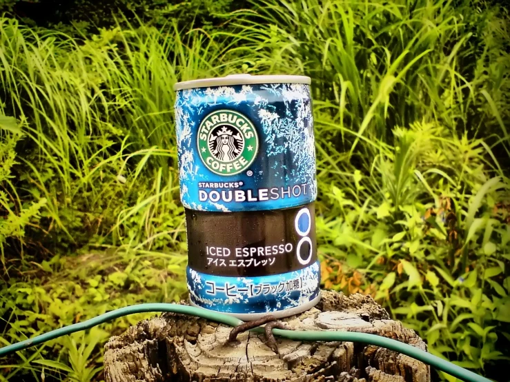 a couple of cans of coffee sitting on top of a tree stump