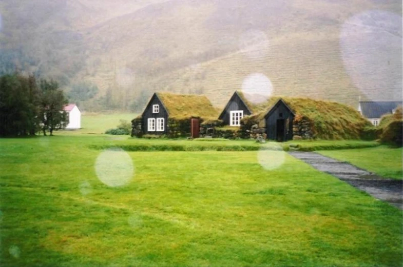 a row of grass roofed houses in a meadow