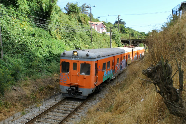 orange and gray train traveling on tracks between trees