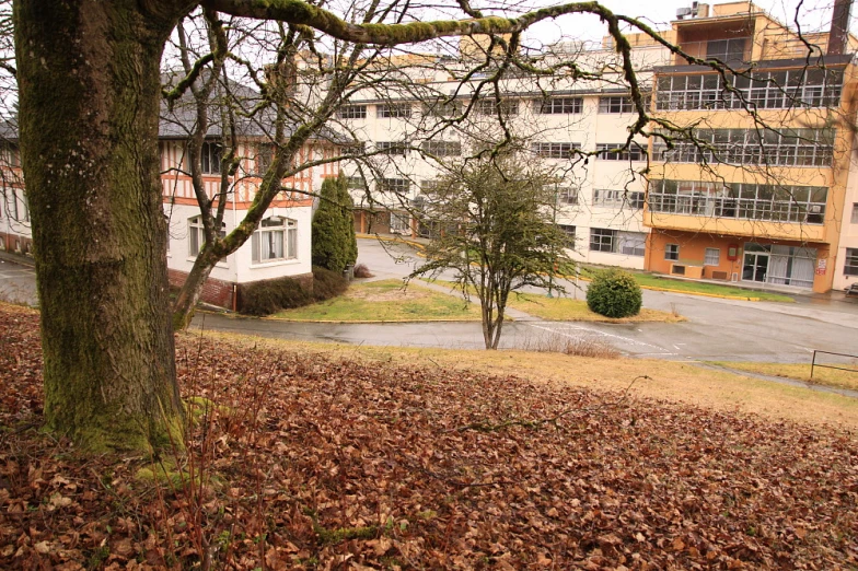 a street with a tall building next to it surrounded by fall leaves