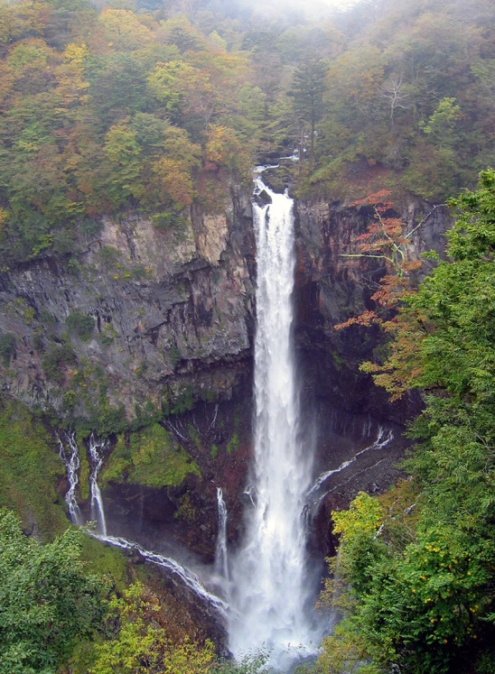 a waterfall cuts into the distance of trees