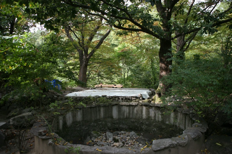 an old cement pool surrounded by trees and foliage