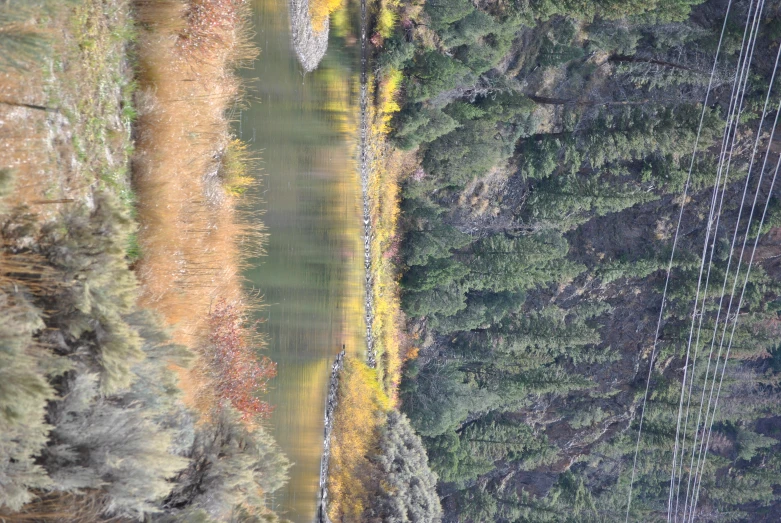 a small lake surrounded by lots of trees