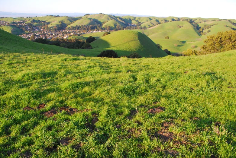 hills and valleys with some grass growing on them