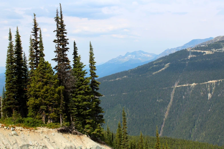 a mountain range with several pine trees on the side