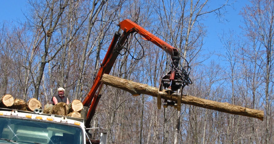 a large crane working on a log in the woods