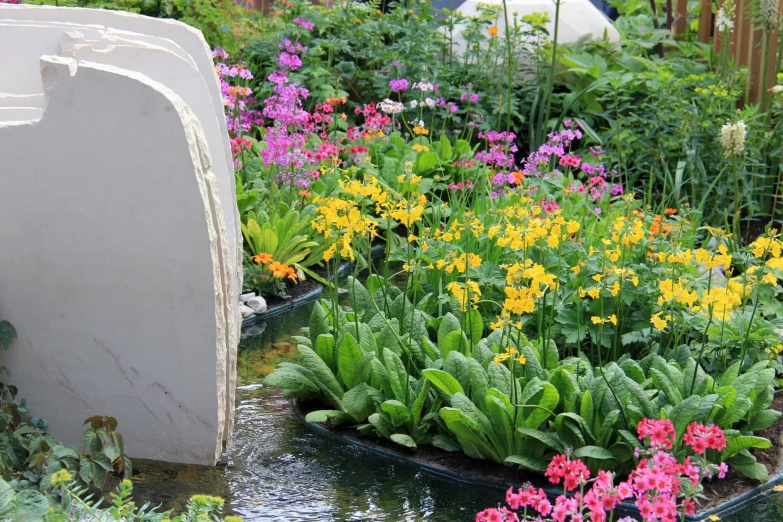 a garden with colorful flowers near an outboarded toilet