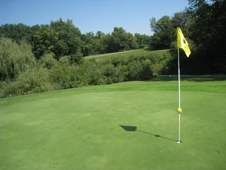 there is a yellow flag in the middle of the green