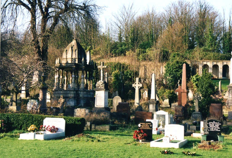 an image of cemetery graves with the grass growing up