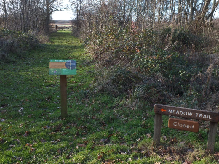 some signs sitting in the grass near trees and bushes