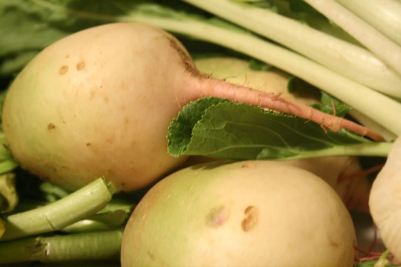 some green and white celery leaves and turnips