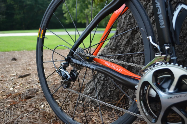 a close up of a bike tire with a tree in the background