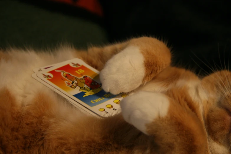 an orange and white stuffed animal laying next to a remote