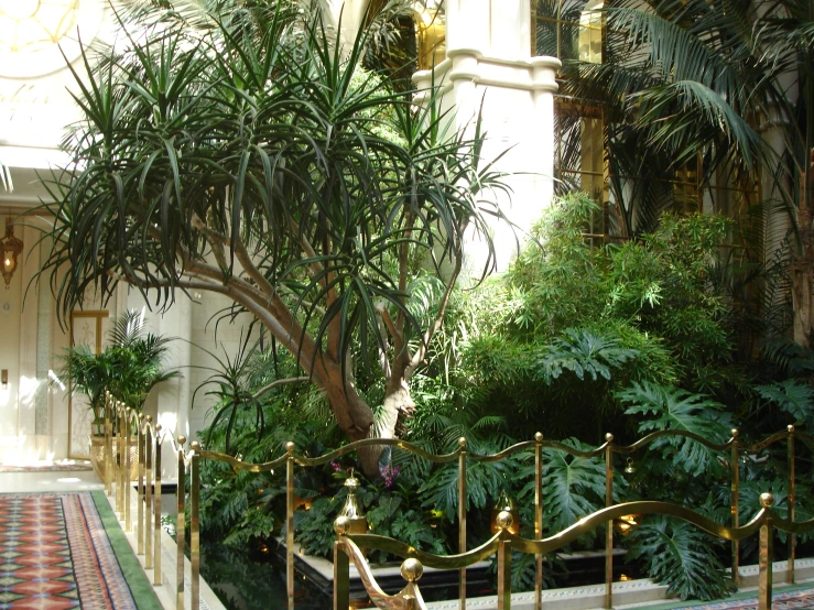 an outside stairway area with trees, plants and a red carpet