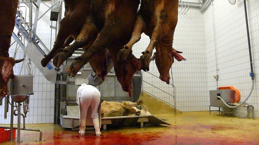 a man standing in a room covered with meat