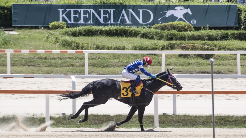 a horse and jockey racing down the track