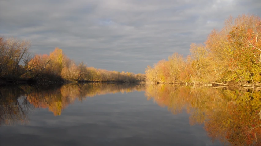 a river with water surrounded by trees