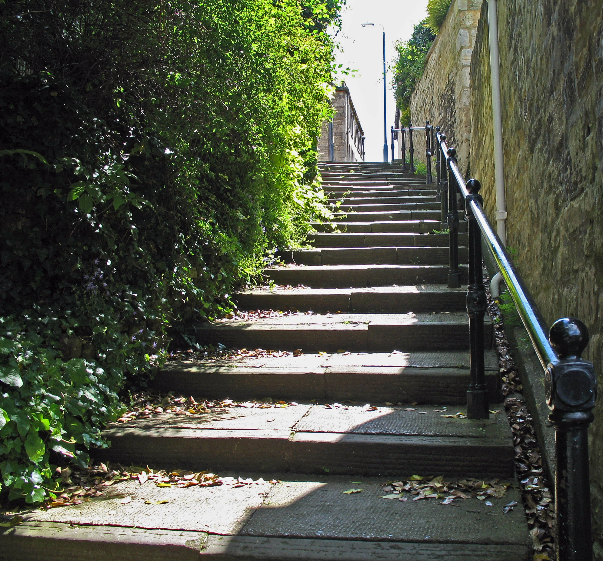 a sidewalk with some trees and stone stairs