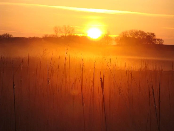 the sun is rising and the clouds have made it yellow