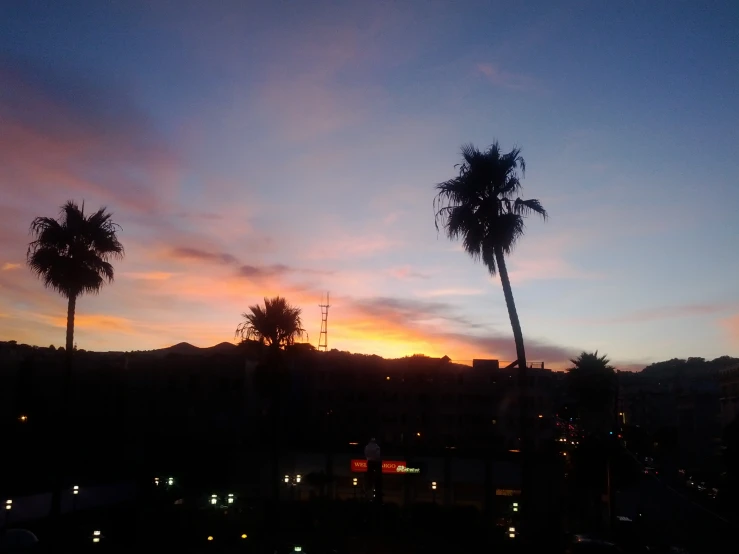 a colorful sunset with palm trees in the foreground