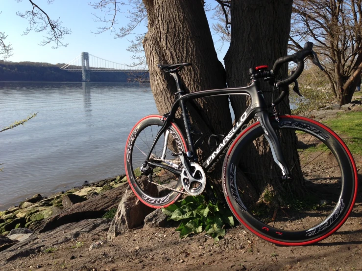 the bike is next to the river bank and tree