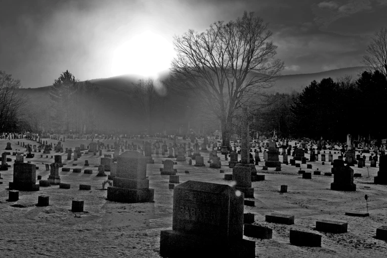 the sun peeking over a dark forest over the headstones of graves