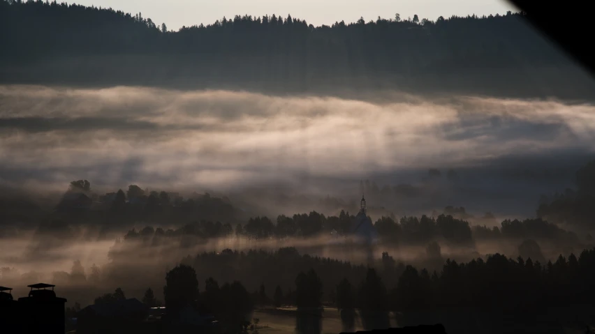 the sun is peaking through fogy forest trees