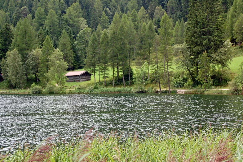 a field is in front of a large lake