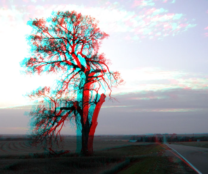 a tree with blue and red blurs on it in the middle of nowhere