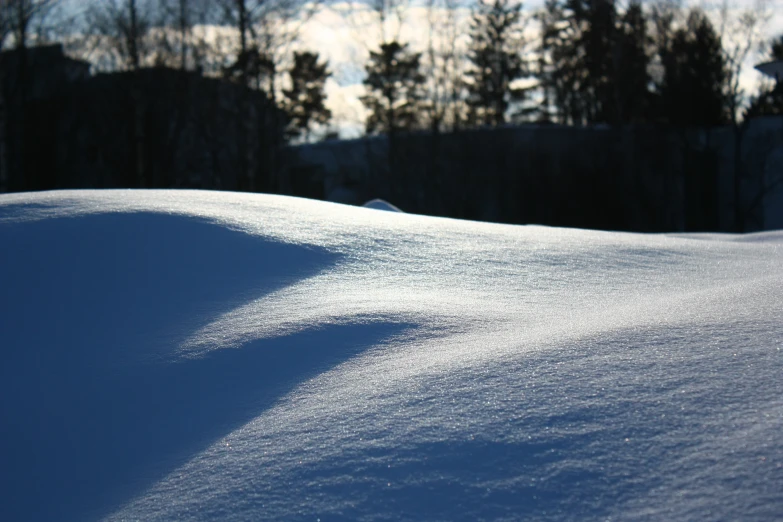 the fresh powder on the snow has begun to fall