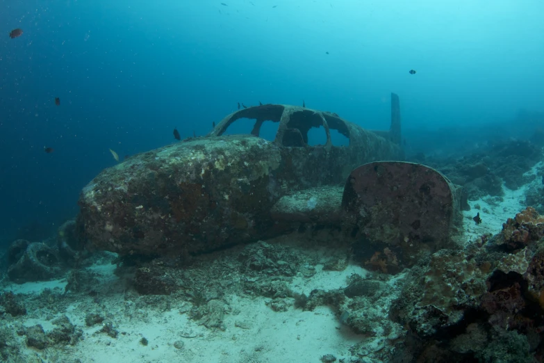 an underwater po of a plane wreck