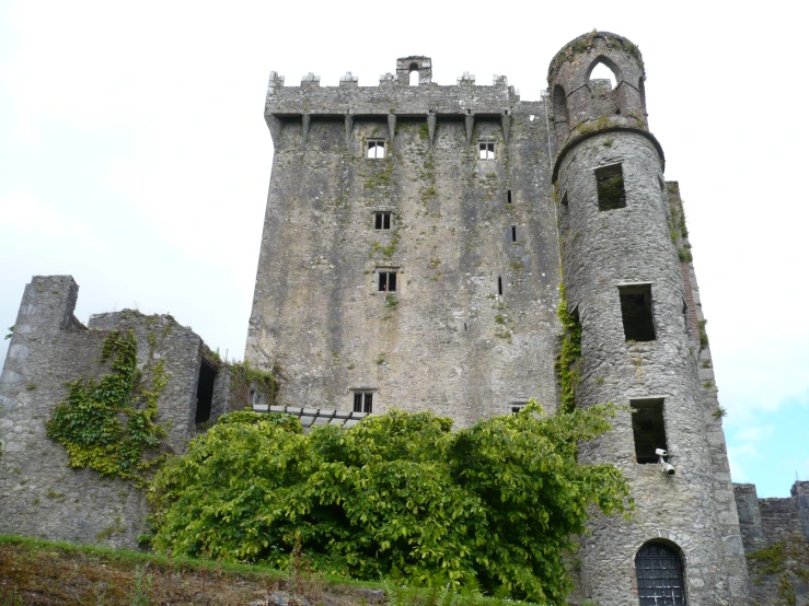 an old stone castle with vines growing all around