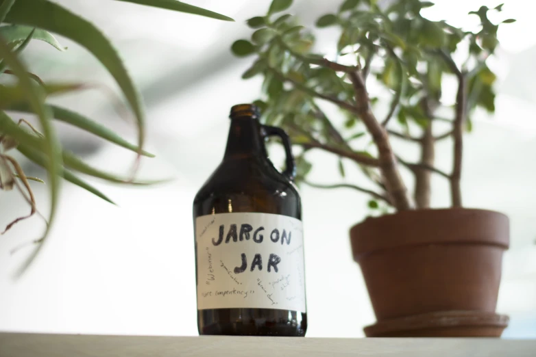 jar with jar of jar of jam sitting on table next to a plant