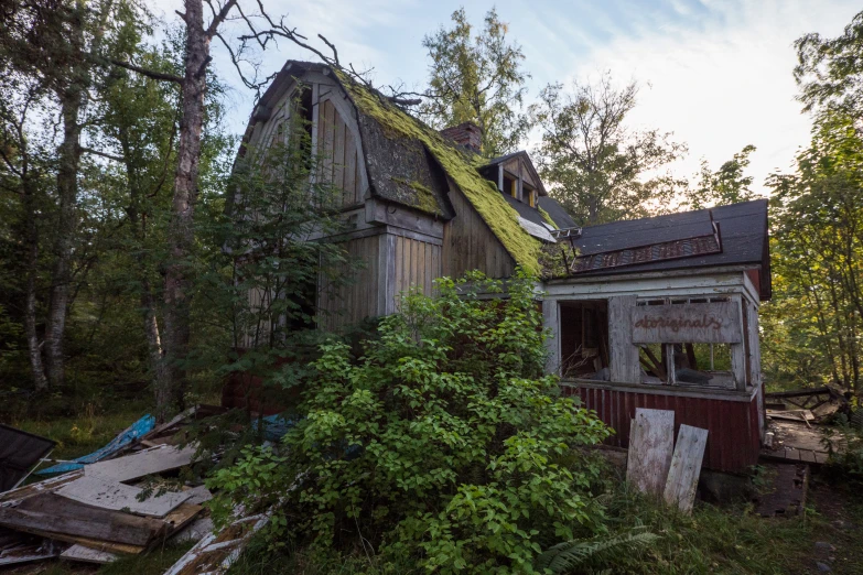 a creepy old house with a green roof and weeds growing on it