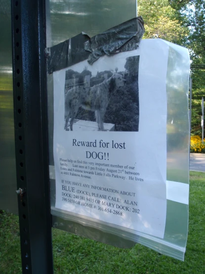 the sign is clearly posted to read reward for lost dogs