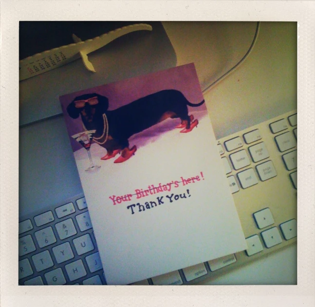 a happy birthday card for a dog with a dachshund wearing shades