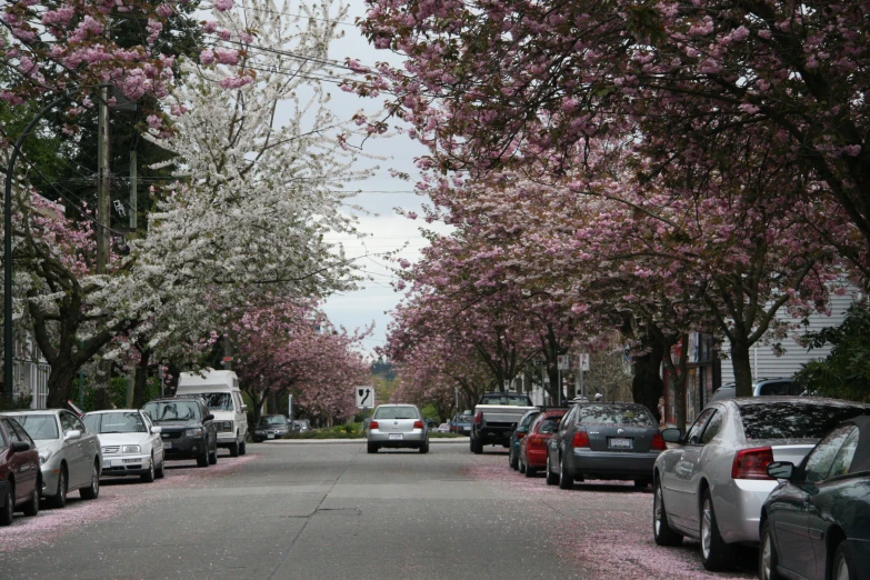 a group of cars parked on a street