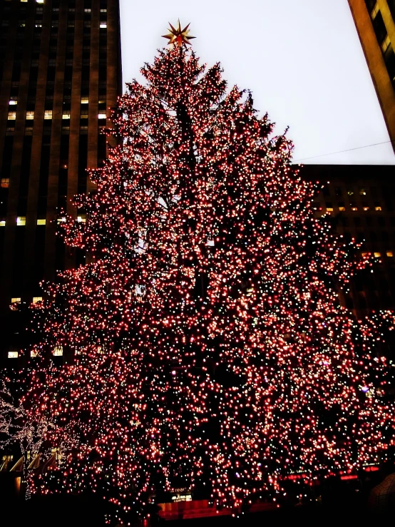 a large christmas tree on the side of a building in the city