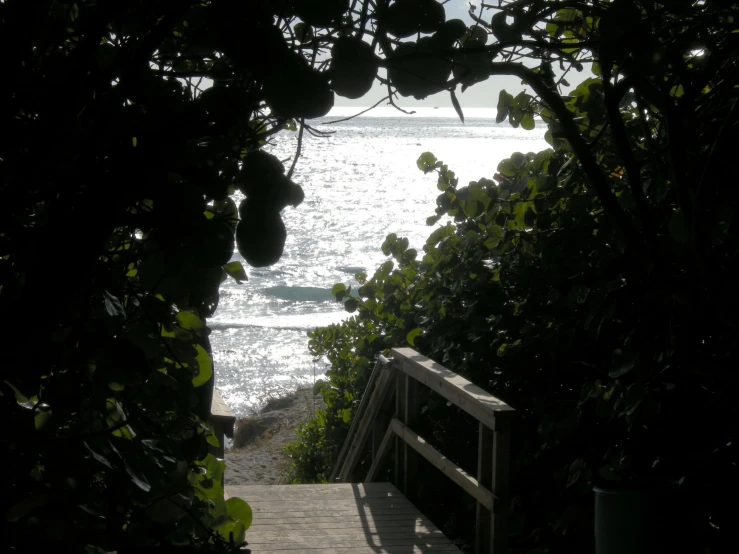 some stairs that lead down to the beach