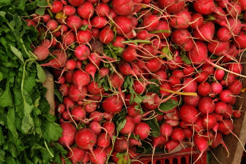 large pile of red radishes on display for sale