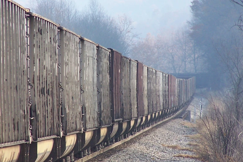 train passing by the trees in a foggy day