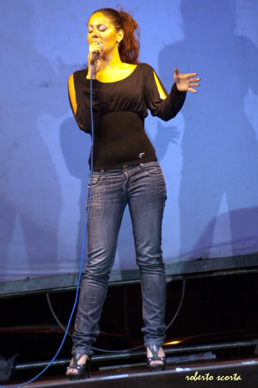 a person standing up on a stage talking into a microphone