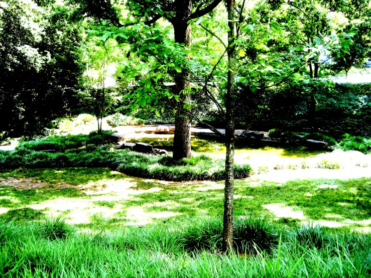 a small bench is in the middle of some trees