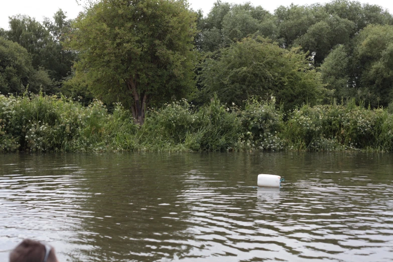 a boat floats through a river surrounded by trees