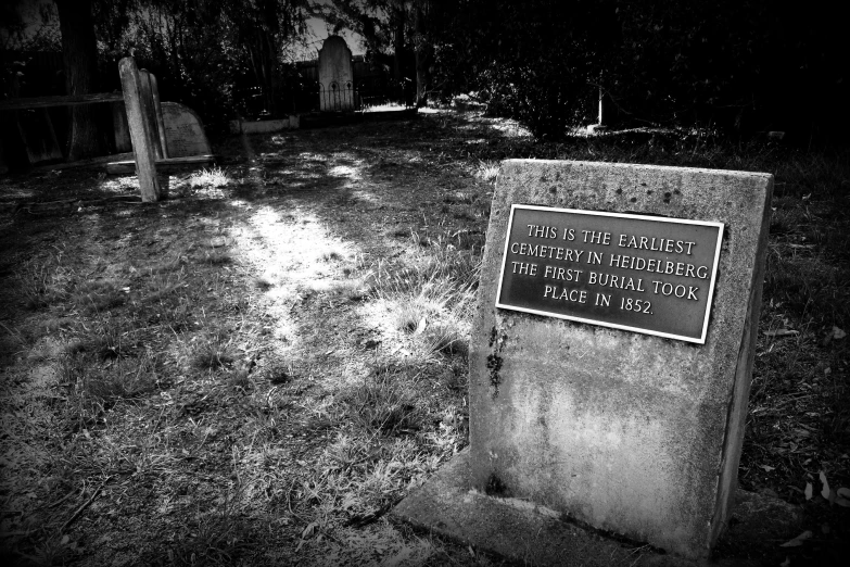 a plaque sitting in the grass in a black and white po