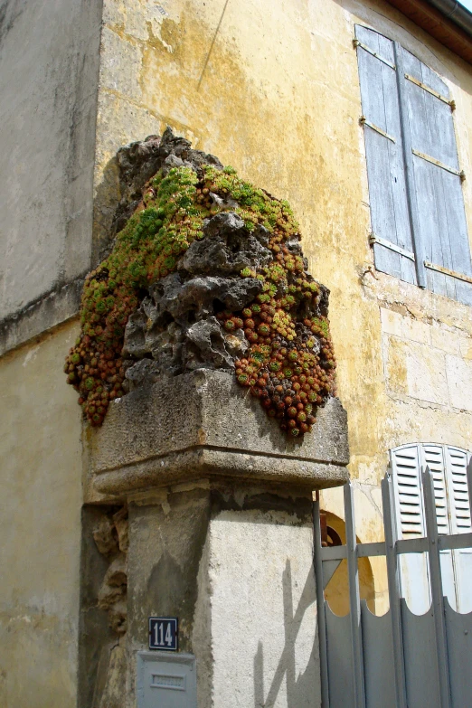 a large building with many vines growing on the outside