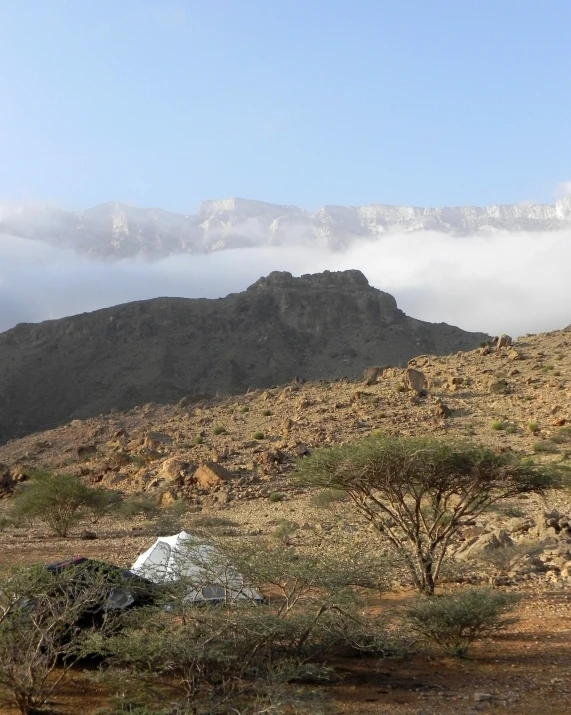 the view from below is of a mountain range and bushes