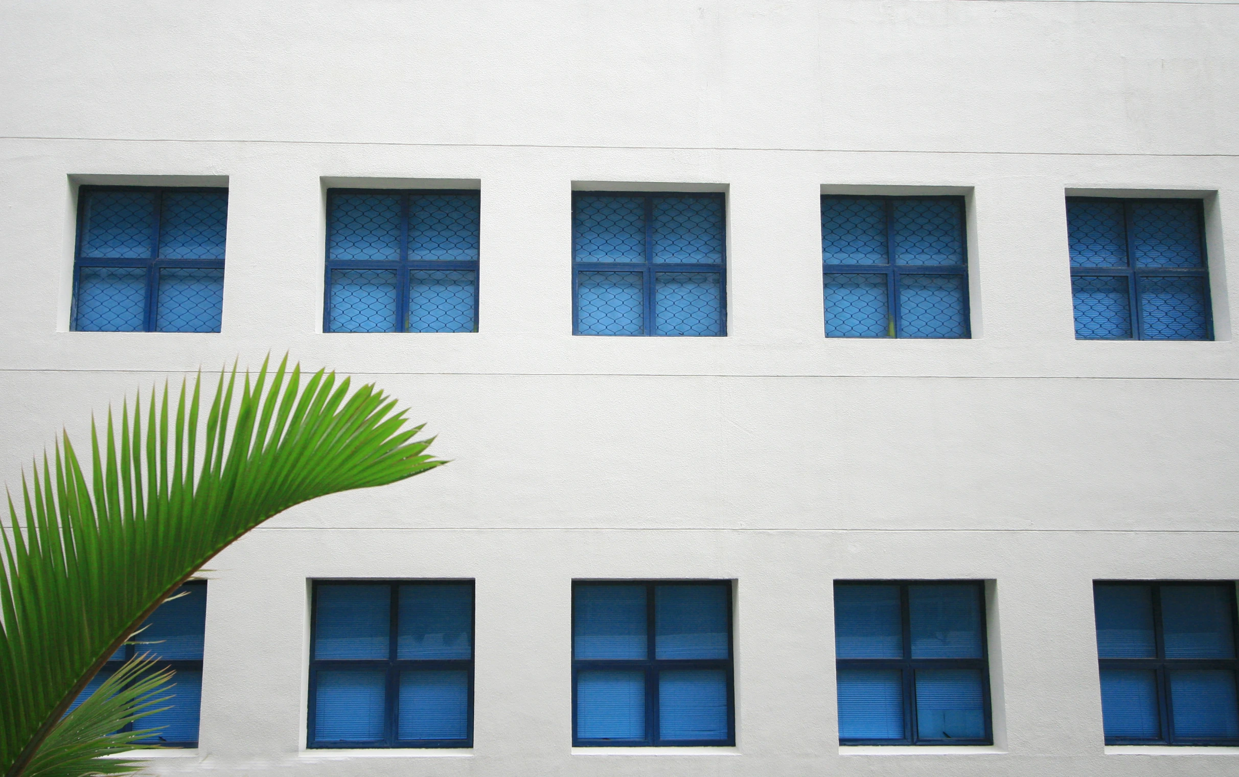 there is a building with multiple windows and a palm tree outside