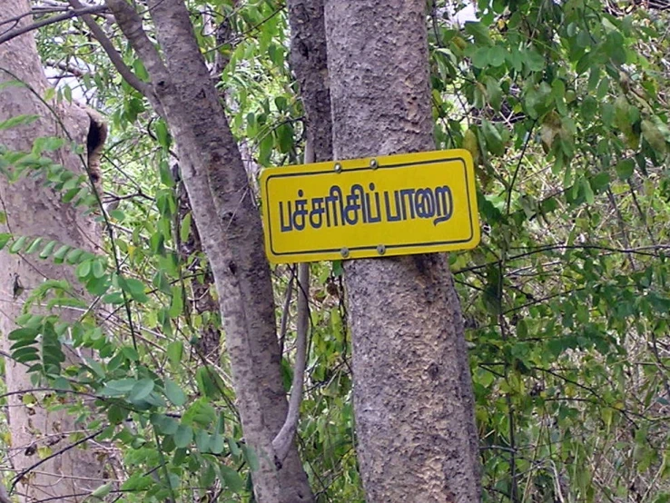 a yellow sign hanging from a tree in a forest