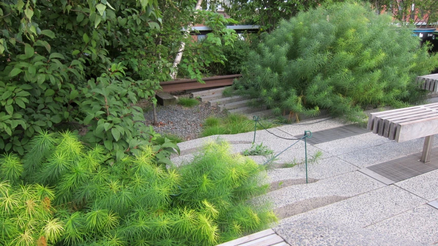 the benches are by plants and a fire pit